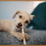 땀 냄새 걱정 끝! 완벽 방어 데오도란트 스틱 사용법