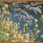 동탄 대방 엘리움 레이크파크, 핫한 이유?