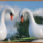 턱살, 이제는 안녕! 확실한 관리법 공개