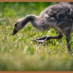 다운펌, 숨겨진 매력을 찾아라!