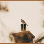 드라마 촬영지, 꿈을 현실로 만드는 마법