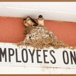 우리 가게 얼굴, 입구간판 완벽 가이드