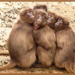 입문자를 위한 최고의 선택, 카메라