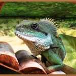 짝눈 탈출! 집에서 하는 5가지 꿀팁 대방출