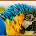 안구건조증, 눈 건강 되찾는 완벽 가이드