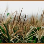 11월 9일 소방의 날: 안전을 지키는 영웅들을 기억하며