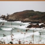 음양오행, 삶의 균형을 찾다