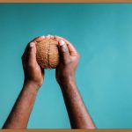 인삼, 당신의 건강을 위한 놀라운 선물