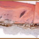 정관장 홍삼정 100g, 당신의 건강을 위한 선택?