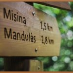 GLP-1, 당신의 건강한 변화를 위한 첫걸음