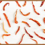 촉촉, 겉바속촉! 고메 오리지널 핫도그, 지금 바로 맛보세요!