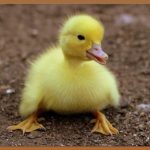 바닥부직포, 우리 집 안전 지킴이!