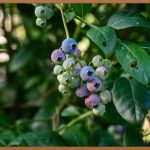 우리 아이 키 쑥쑥! 성장영양제 궁금증 해결!