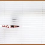 관찰카메라, 세상의 숨겨진 이야기를 엿보다