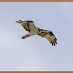 고주파온열 치료, 암 치료의 새로운 희망?