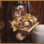 가정용 울쎄라, 피부 탄력의 새로운 기준