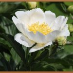 홍대개미 꿀팁: 가성비 끝판왕 메뉴 완전 정복!