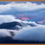 감기, 이제는 빠르게 극복하세요!