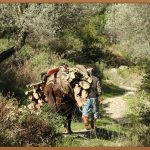 < 남자 뱃살, 확실하게 빼는 비법! >