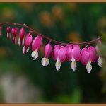 착상혈, 임신 신호? 모든 궁금증 해결!