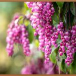 일본 항공권 특가, 놓치면 후회할 기회!