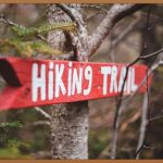 일본 여행, 완벽 가이드!