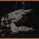 사각턱 보톡스, 놀라운 변화의 시작