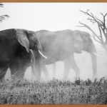대형 아크릴판, 당신의 공간을 바꾸는 마법
