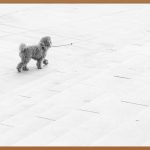 LEED, 지속 가능한 건축의 미래를 열다