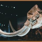 레고 전시회, 무료로 즐기는 무한 상상력!