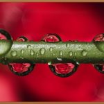 안경알 교체, 부담 없이 시력 개선하는 방법