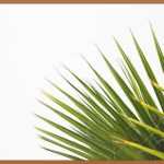 종신형 연금보험, 노후 걱정 끝! 완벽 가이드