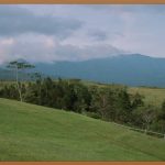 자기장 치료, 당신의 건강을 위한 새로운 선택?