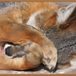 미국 석사, 0원으로 시작하는 유학 성공 전략