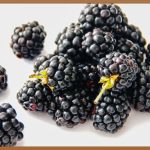 목포에서 건강하게 살 빼는 법: 나만의 다이어트 성공 전략