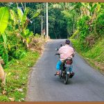 원동기면허증, 0원으로 손에 넣는 방법?