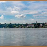 천연 인슐린, 0원으로 혈당 관리 시작하기