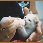 부모님을 위한 최고의 선택, 양로원 제대로 알고 선택하기