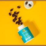 최고의 영양제 브랜드, 나에게 맞는 선택은?