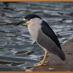 올리브영 비듬 샴푸 완벽 분석: 당신의 두피 고민 해결