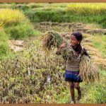 올리브영 파운데이션, 완벽 커버 & 지속력!