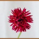 포토샵CS6 완벽 가이드: 무료 다운로드부터 활용법까지