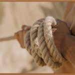 고압세차, 깨끗함을 넘어선 즐거움