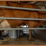 장 건강 지킴이, 유익균 제대로 알고 챙기세요!