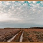 평택 땅, 성공 투자의 첫걸음!