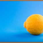 생식, 건강한 식탁의 시작!