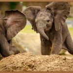 종아리 쥐, 왜 이렇게 괴로운 걸까? 시원하게 파헤쳐 보자!