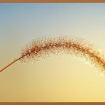 매립등 커버, 공간을 디자인하다: 완벽 가이드