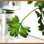 완벽 밀폐! 당신의 주방을 책임질 밀폐용기, 최고의 선택은?