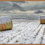 잔뇨, 불편함 이제 안녕! 시원한 일상을 위한 해결책